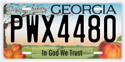 GA license plate PWX4480
