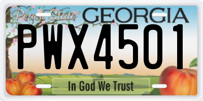 GA license plate PWX4501