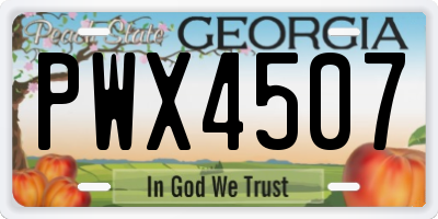 GA license plate PWX4507