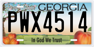 GA license plate PWX4514