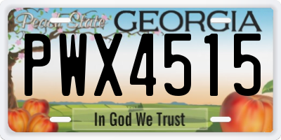 GA license plate PWX4515