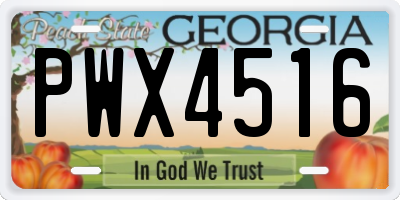GA license plate PWX4516