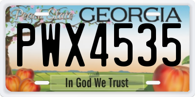 GA license plate PWX4535