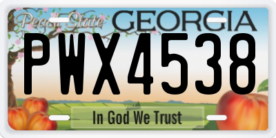 GA license plate PWX4538