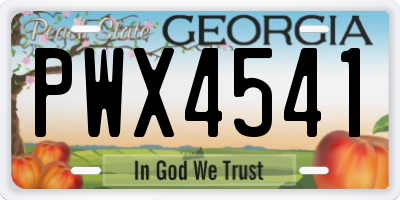 GA license plate PWX4541