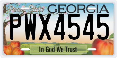 GA license plate PWX4545