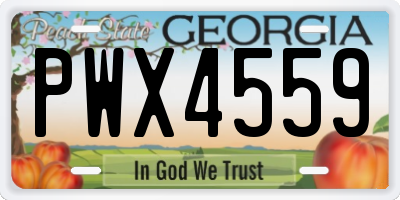 GA license plate PWX4559