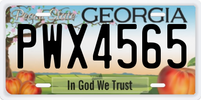 GA license plate PWX4565