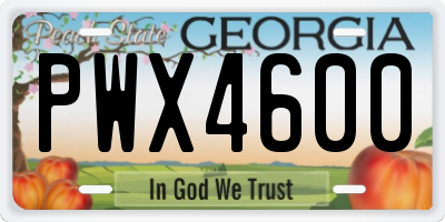 GA license plate PWX4600