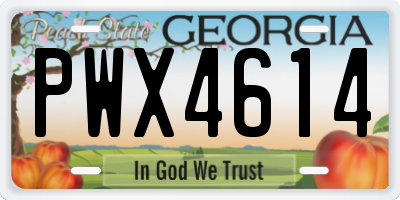 GA license plate PWX4614