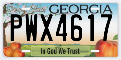 GA license plate PWX4617