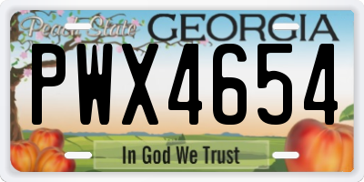 GA license plate PWX4654
