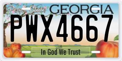 GA license plate PWX4667