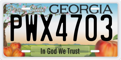 GA license plate PWX4703