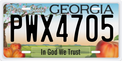 GA license plate PWX4705