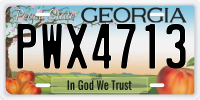 GA license plate PWX4713
