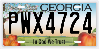 GA license plate PWX4724