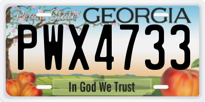 GA license plate PWX4733
