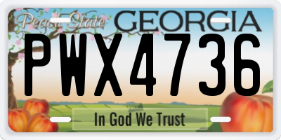 GA license plate PWX4736