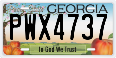 GA license plate PWX4737