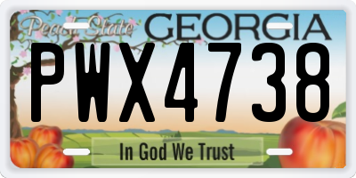 GA license plate PWX4738