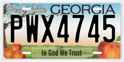 GA license plate PWX4745