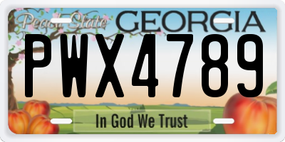 GA license plate PWX4789