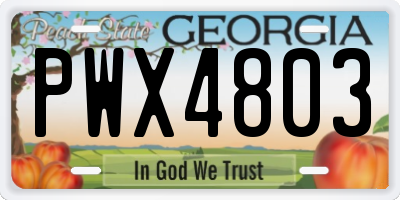 GA license plate PWX4803
