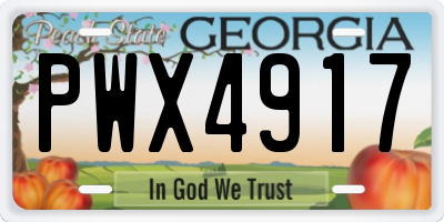 GA license plate PWX4917