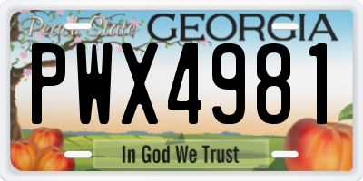 GA license plate PWX4981