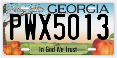 GA license plate PWX5013