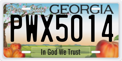 GA license plate PWX5014