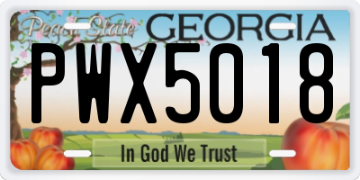 GA license plate PWX5018