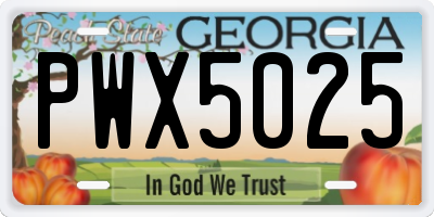 GA license plate PWX5025