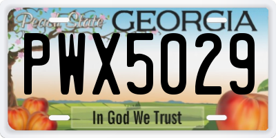 GA license plate PWX5029