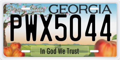 GA license plate PWX5044