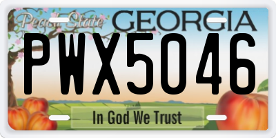 GA license plate PWX5046