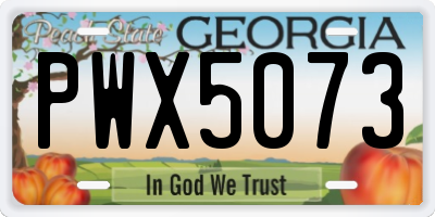GA license plate PWX5073