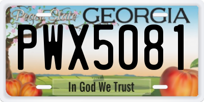 GA license plate PWX5081