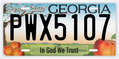 GA license plate PWX5107