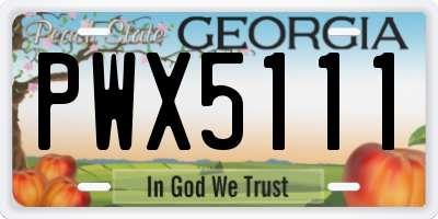 GA license plate PWX5111