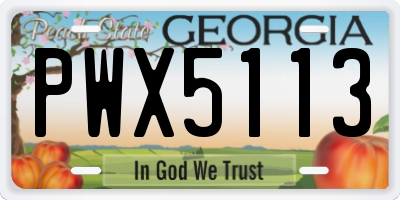 GA license plate PWX5113