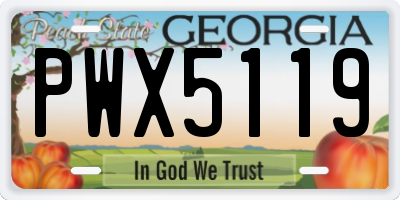 GA license plate PWX5119