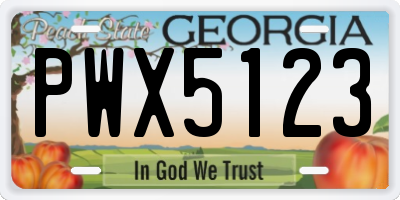 GA license plate PWX5123