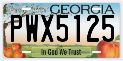 GA license plate PWX5125