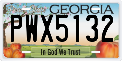 GA license plate PWX5132