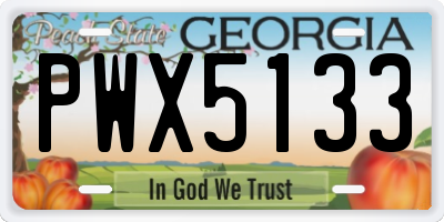 GA license plate PWX5133