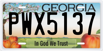 GA license plate PWX5137