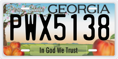 GA license plate PWX5138