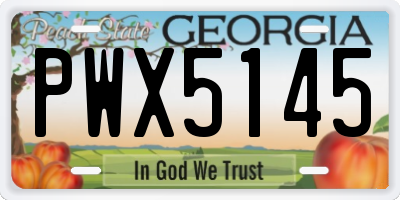 GA license plate PWX5145
